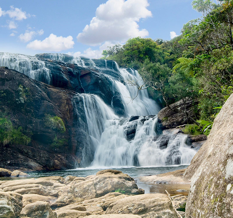 Horton Plains trail and Bakers Falls in Nuwara Eliya