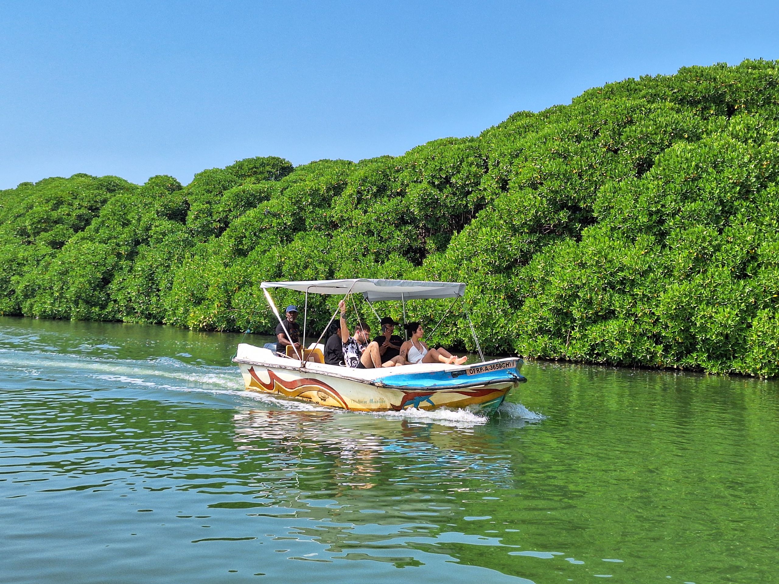 Sunset boat ride in Negombo Lagoon