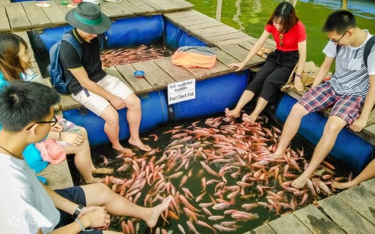 Madu River boat ride through mangroves and cinnamon island